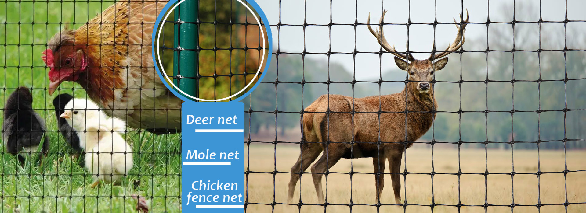 HEBEI VIVA NET CO.,LTD