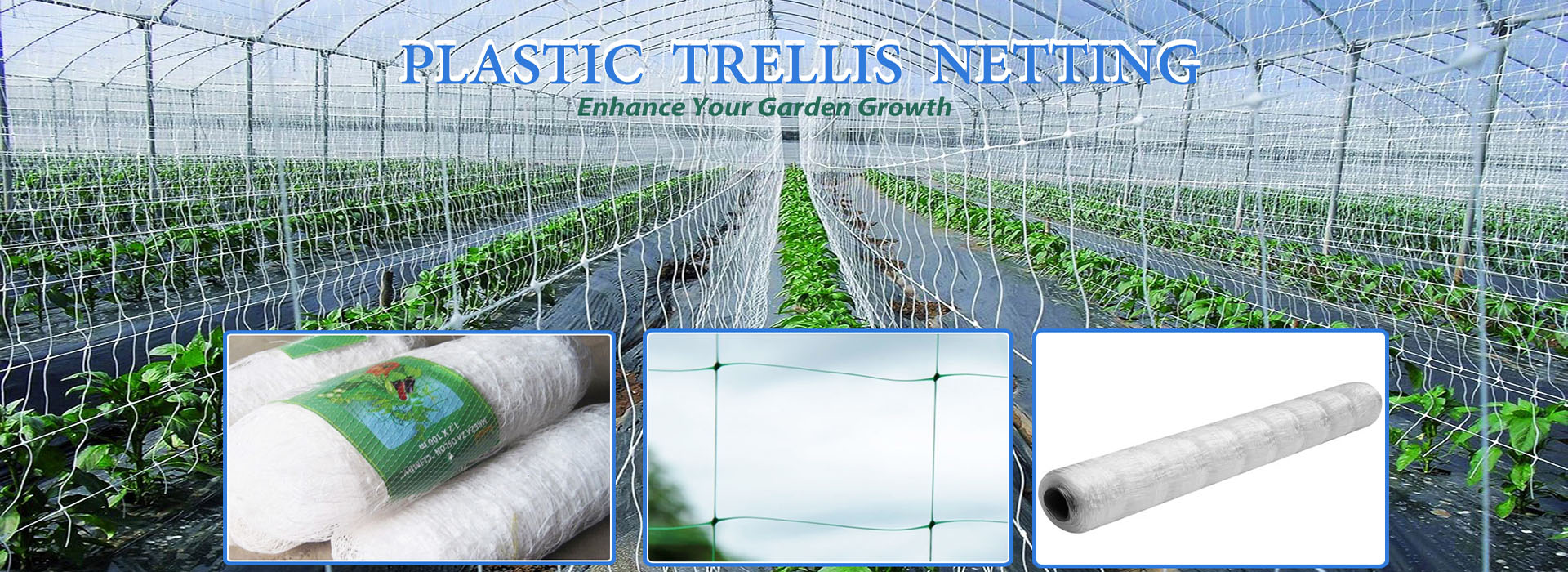 HEBEI VIVA NET CO.,LTD