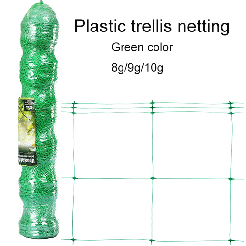 Cucumber net