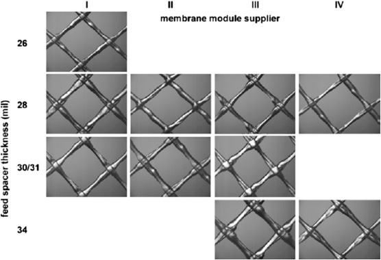 RO Membrane Became More and More Popular