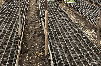 Flower Support Netting
