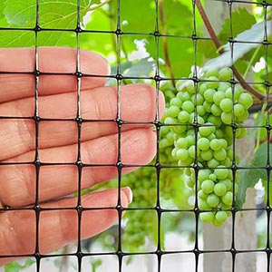 Plastic Anti-bird Mesh