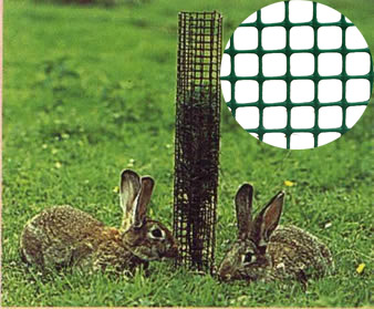 Plastic diamond mesh