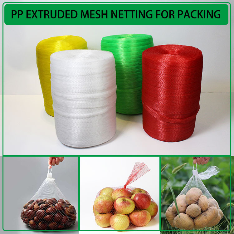 Plastic Mesh Bag