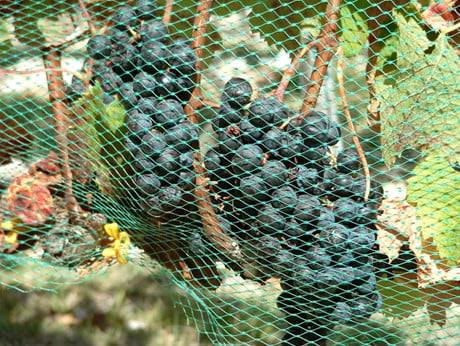 Plastic Flower Mesh Sleeve Plastic Flower Mesh Sleeve