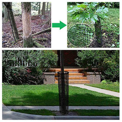 plastic tree guard mesh plastic tree guard mesh