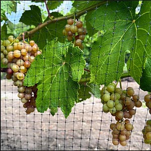 Heavy Duty BOP Garden Mesh Netting pond netting