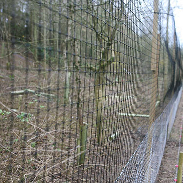 Plastic chicken bop netting