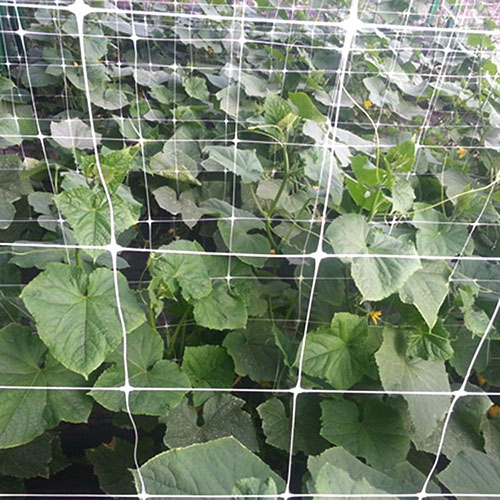 flower netting flower netting