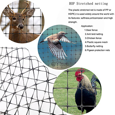 Plastic Poultry Fencing (BI-ORIENTED NET)