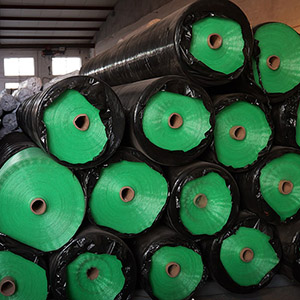 turf growing netting
