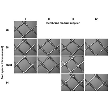 RO Membrane Became More and More Popular
