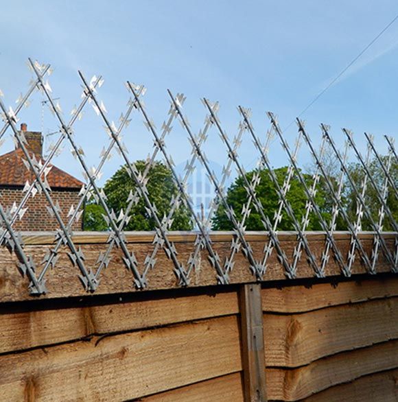 Razor Mesh Trellis