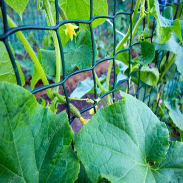 How to utilize floral support netting for your garden