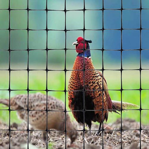 Extruded BOP Net for Chicken Coop