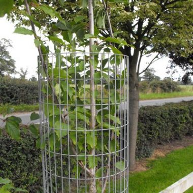 metal tree guard mesh
