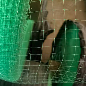 Erosion control blanket netting