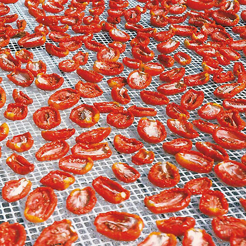 Plastic Food Netting For Drying food grade