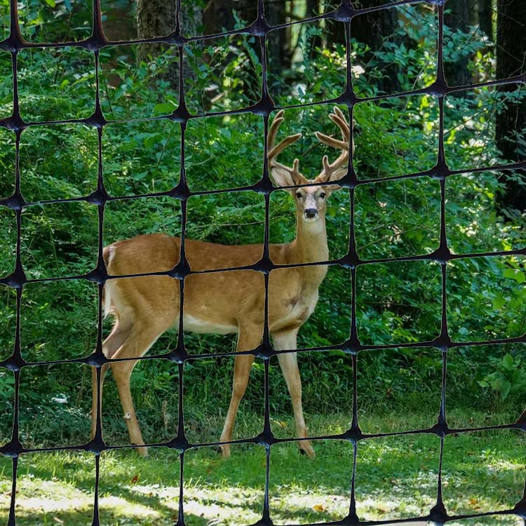 Black Deer Fence , Deer Fence Netting