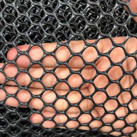 Chicken Diamond Plastic Flat Mesh