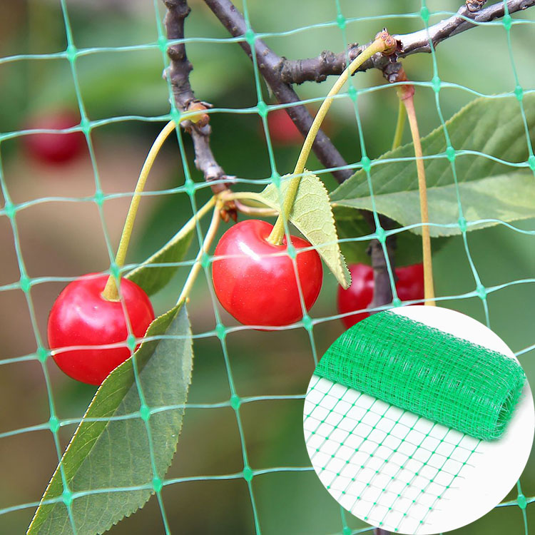 extruded anti bird netting crop protection netting