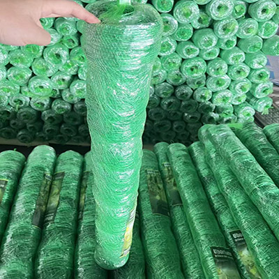 Green color cucumber net/mesh /netting