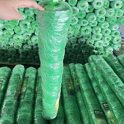 Green color cucumber net/mesh /netting