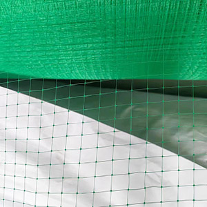 green color Plastic Anti-bird netting