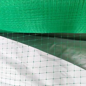 green color Plastic Anti-bird netting