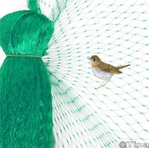 Plastic diamond bird netting