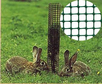 plastic tree guard mesh