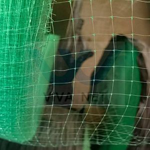 Sod turf growing net