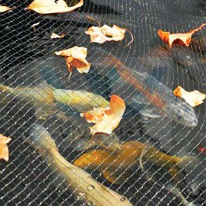 Anti bird netting Anti bird netting