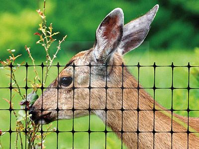 Deer net
