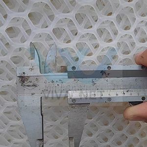 Chicken Diamond Plastic Flat Mesh