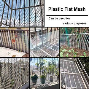 Chicken Diamond Plastic Flat Mesh