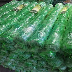 Cucumber trellis netting