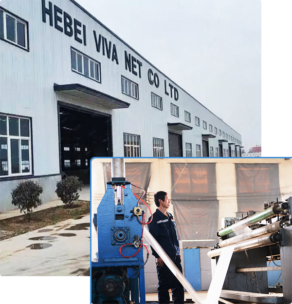 HEBEI VIVA NET CO.,LTD