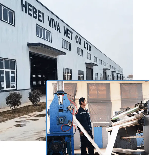 HEBEI VIVA NET CO.,LTD